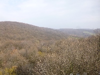 p1100707.jpg