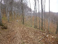 p1100717.jpg