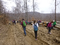 p1100718.jpg