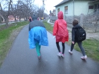 p1100734.jpg