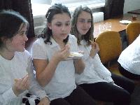 sam_0293.jpg