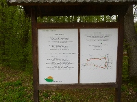 p1110213.jpg