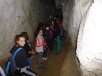 p1110231.jpg