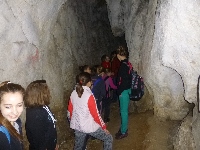 p1110233.jpg
