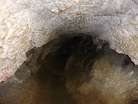 p1110246.jpg