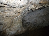 p1110257.jpg