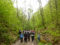 p1110261.jpg