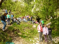 p1110293.jpg