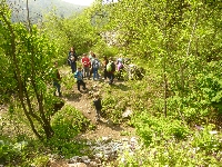 p1110294.jpg