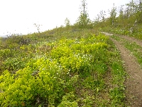 p1110311.jpg