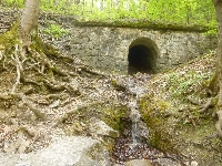 p1110319.jpg