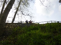 p1110335.jpg
