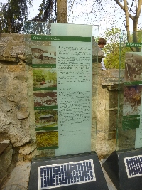 p1110340.jpg