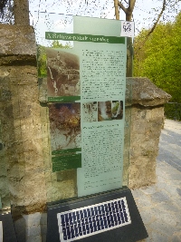 p1110341.jpg
