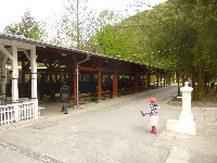 p1110357.jpg