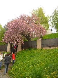 p1110361.jpg