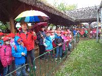 dsc03520.jpg