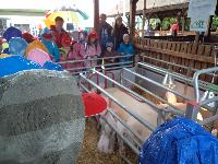 dsc03525.jpg
