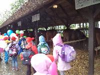 dsc03540.jpg
