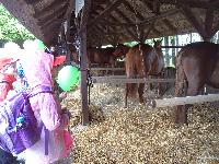 dsc03541.jpg