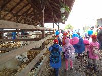 dsc03543.jpg