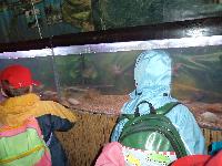 dsc03547.jpg