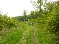 p1110612.jpg