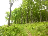 p1110624.jpg