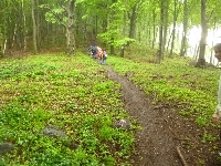 p1110632.jpg