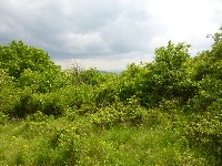 p1110646.jpg