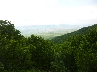 p1110658.jpg