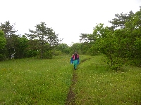p1110678.jpg