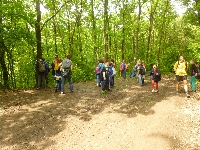 p1110687.jpg