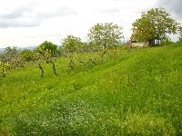 p1110688.jpg