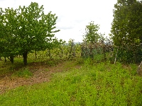 p1110692.jpg