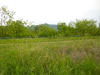 p1110698.jpg