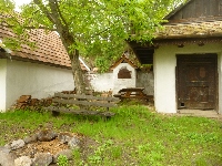 p1110703.jpg