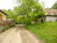 p1110705.jpg