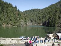 dscf0101.jpg