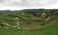 dscf0012.jpg