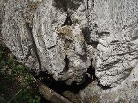 dscf0055.jpg