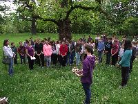 dscf0010.jpg