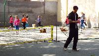 dscf6541.jpg