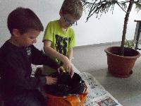 sam_0204.jpg