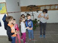 sam_0208.jpg