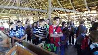 dscf7178.jpg