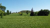 dscf7184.jpg
