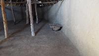 dscf7189.jpg