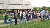 dscf7236.jpg