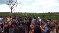 dscf7240.jpg